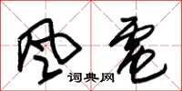 朱錫榮風電草書怎么寫