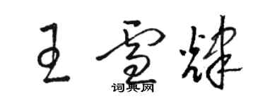 駱恆光王雪輝草書個性簽名怎么寫