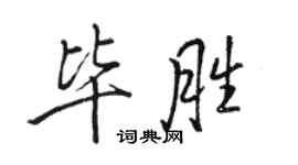 駱恆光畢勝行書個性簽名怎么寫