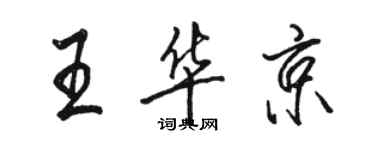 駱恆光王華京行書個性簽名怎么寫