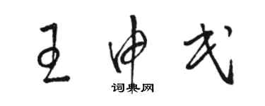 駱恆光王申民草書個性簽名怎么寫