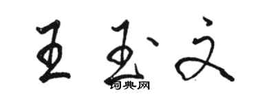 駱恆光王玉文行書個性簽名怎么寫