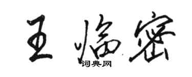 駱恆光王臨密行書個性簽名怎么寫