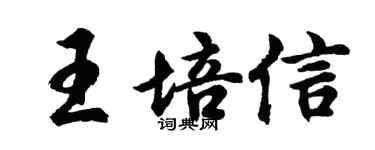 胡問遂王培信行書個性簽名怎么寫