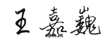 駱恆光王嘉巍行書個性簽名怎么寫