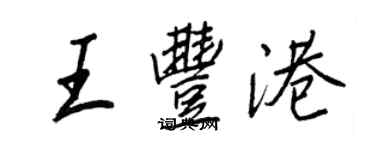 王正良王豐港行書個性簽名怎么寫