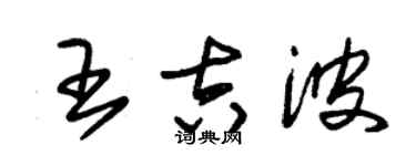 朱錫榮王吉波草書個性簽名怎么寫