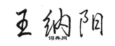 駱恆光王納陽行書個性簽名怎么寫