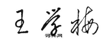 駱恆光王學梅草書個性簽名怎么寫