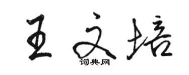 駱恆光王文培行書個性簽名怎么寫