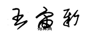 朱錫榮王宙新草書個性簽名怎么寫