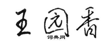 駱恆光王園香行書個性簽名怎么寫