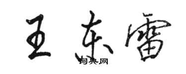 駱恆光王東雷行書個性簽名怎么寫