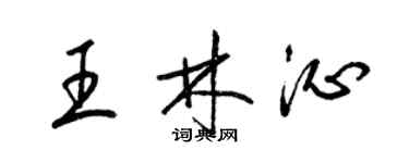 梁錦英王林沁草書個性簽名怎么寫
