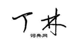 梁錦英丁林草書個性簽名怎么寫