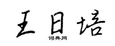 王正良王日培行書個性簽名怎么寫