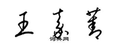 梁錦英王嘉菁草書個性簽名怎么寫