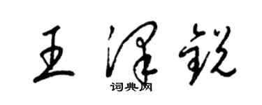 梁錦英王澤銳草書個性簽名怎么寫