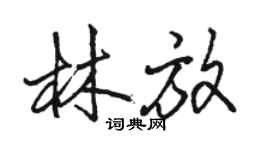 駱恆光林放行書個性簽名怎么寫