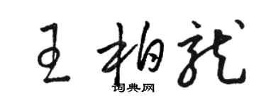駱恆光王柏龍草書個性簽名怎么寫
