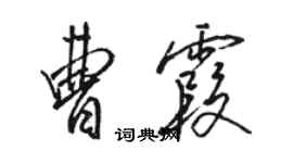 駱恆光曹霞行書個性簽名怎么寫