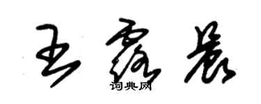 朱錫榮王露晨草書個性簽名怎么寫