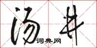 駱恆光湯井草書怎么寫