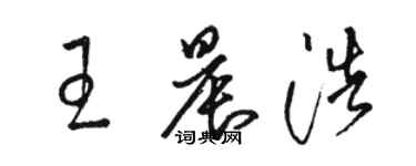 駱恆光王晨浩草書個性簽名怎么寫