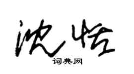 朱錫榮沈恬草書個性簽名怎么寫