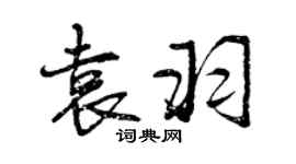 曾慶福袁羽行書個性簽名怎么寫