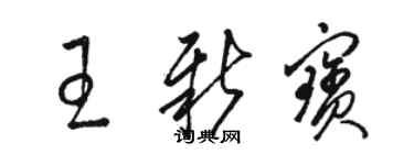 駱恆光王新寶草書個性簽名怎么寫