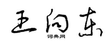 曾慶福王向東草書個性簽名怎么寫