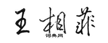 駱恆光王相菲行書個性簽名怎么寫