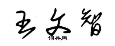 朱錫榮王文智草書個性簽名怎么寫
