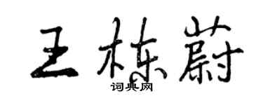 曾慶福王棟蔚行書個性簽名怎么寫
