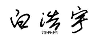 朱錫榮白浩宇草書個性簽名怎么寫