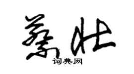 朱錫榮蔡壯草書個性簽名怎么寫