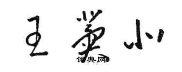 駱恆光王冀北草書個性簽名怎么寫