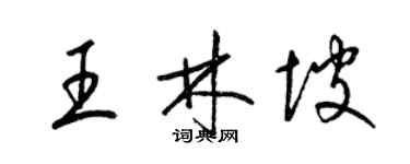 梁錦英王林坡草書個性簽名怎么寫