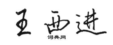 駱恆光王西進行書個性簽名怎么寫