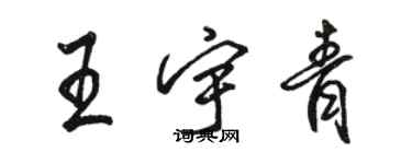 駱恆光王宇青行書個性簽名怎么寫