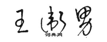 駱恆光王衛男草書個性簽名怎么寫
