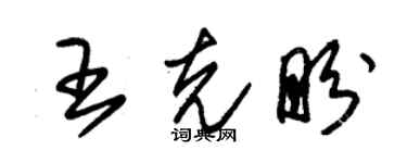朱錫榮王克盼草書個性簽名怎么寫