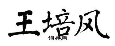 翁闓運王培風楷書個性簽名怎么寫