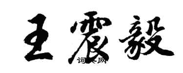 胡問遂王震毅行書個性簽名怎么寫