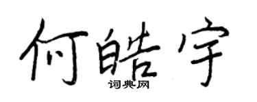 王正良何皓宇行書個性簽名怎么寫