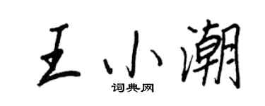 王正良王小潮行書個性簽名怎么寫