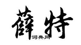 胡問遂薛特行書個性簽名怎么寫