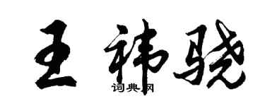 胡問遂王禕驍行書個性簽名怎么寫