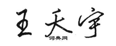 駱恆光王夭宇行書個性簽名怎么寫